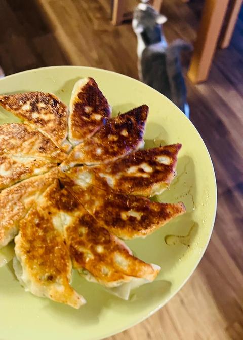 linecamera_shareimage.jpgのサムネイル画像のサムネイル画像のサムネイル画像のサムネイル画像