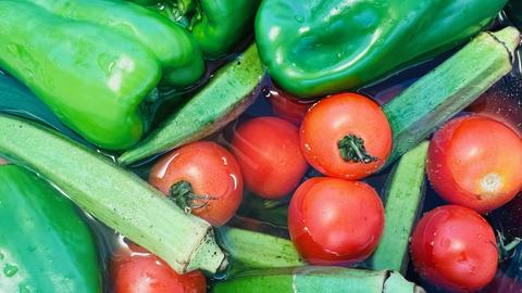 IMG_1595.jpgのサムネイル画像