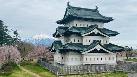 IMG_1823.jpgのサムネイル画像