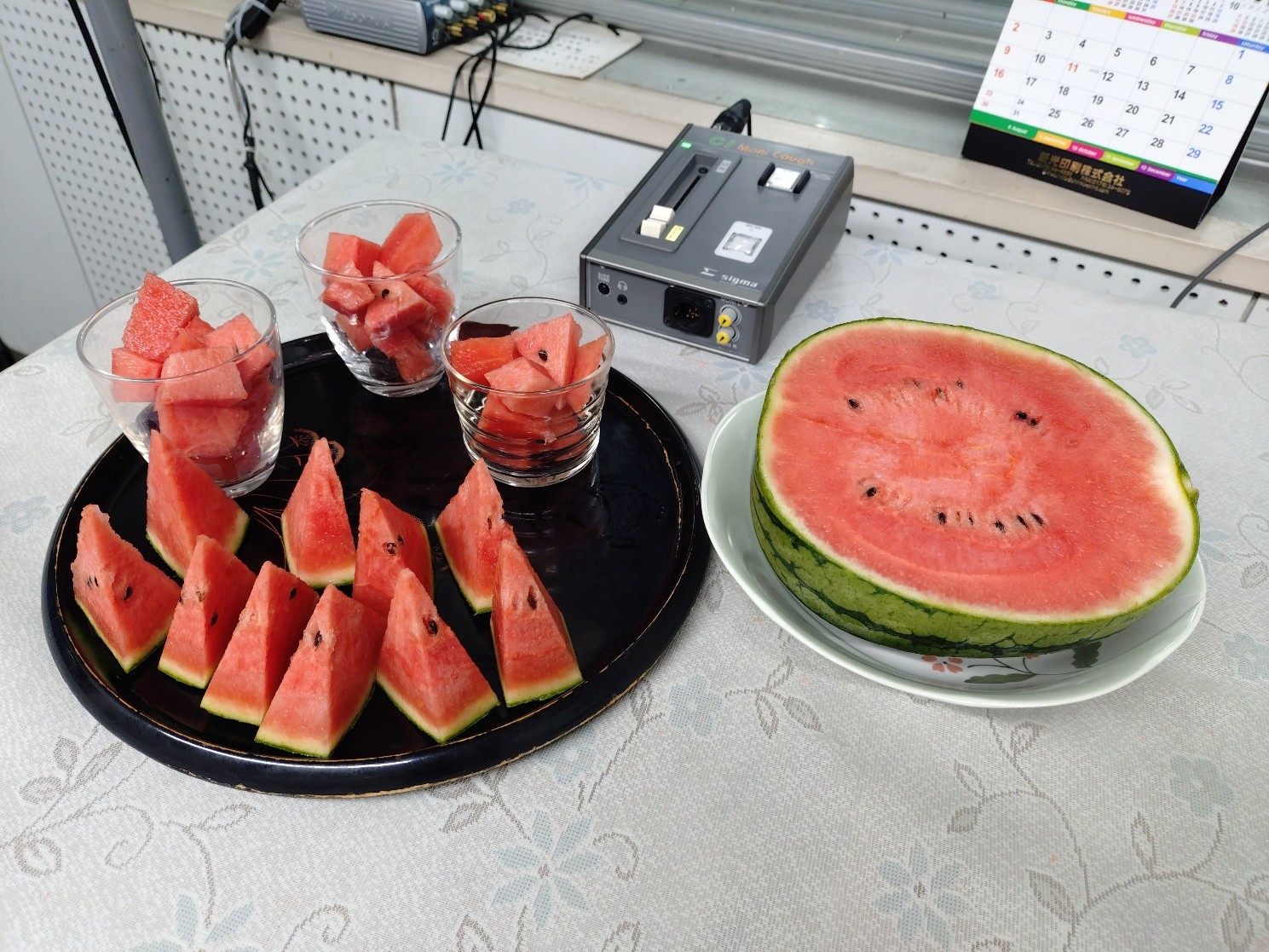 20260801watermelon