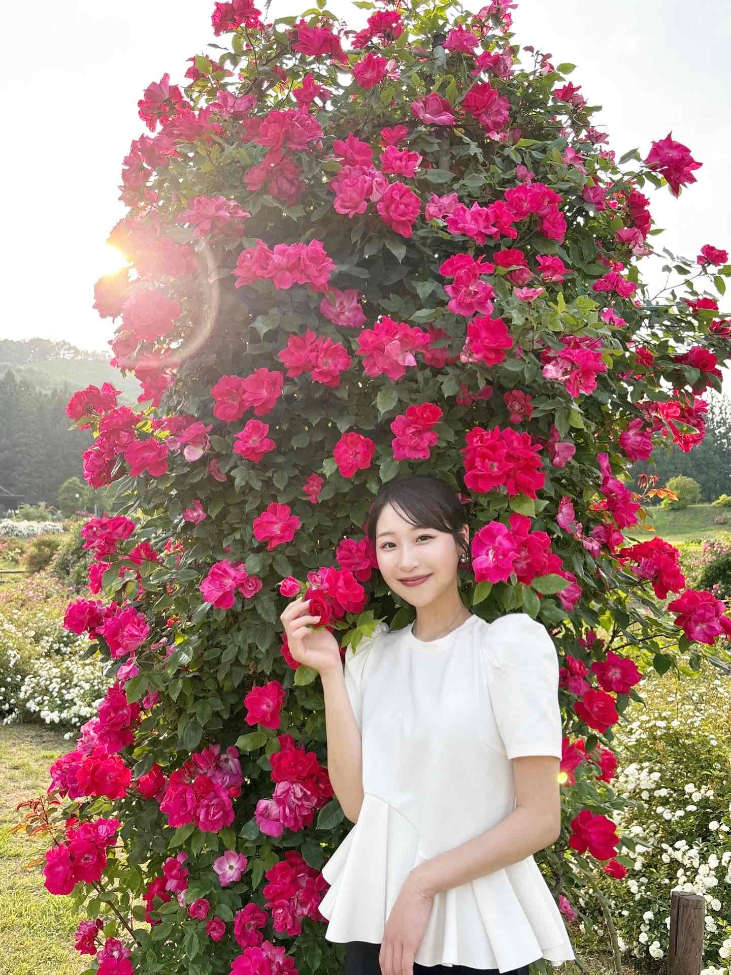 E6047DB5-AE0A-40DD-9F6A-53CC584C5CCC